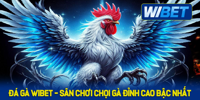 Lý do nhiều người lựa chọn đá gà WIBET