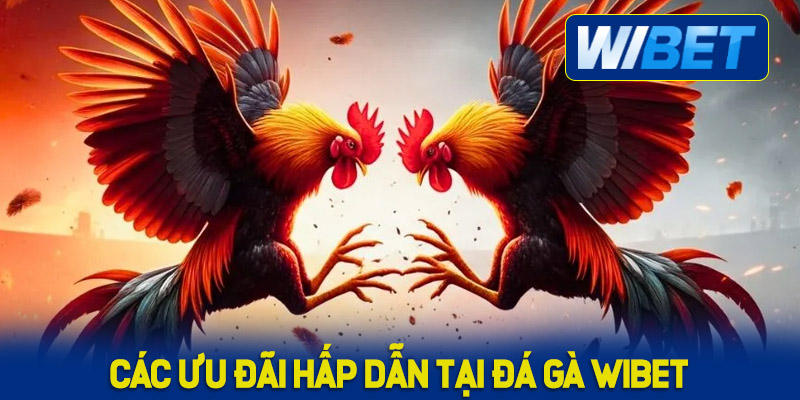 Các ưu đãi hấp dẫn tại đá gà WIBET 