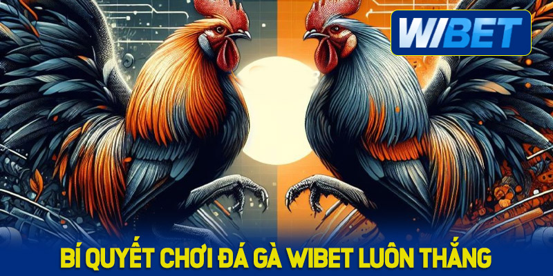 Chia sẻ bí quyết chơi đá gà WIBET luôn thắng từ các cao thủ